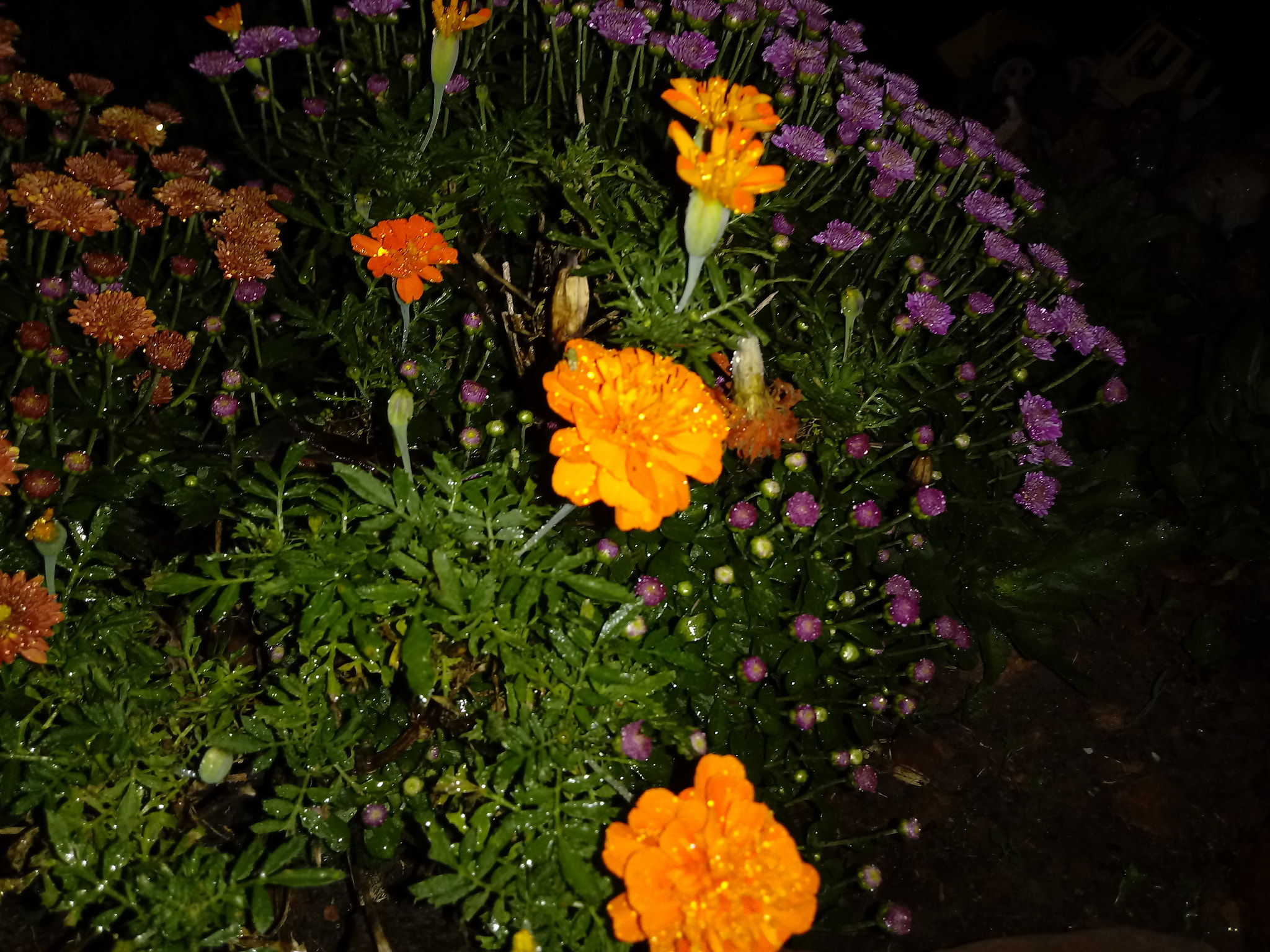 LG K10 (2017) sample photo