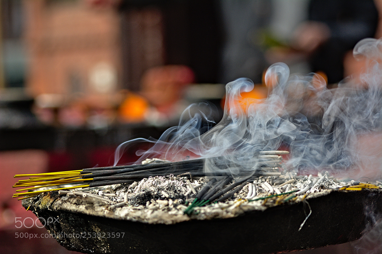 Nikon D7100 sample photo. The smell photography