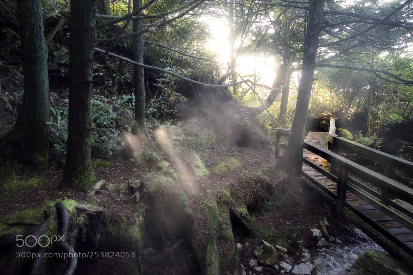 Sony a7 sample photo. Steamy photography