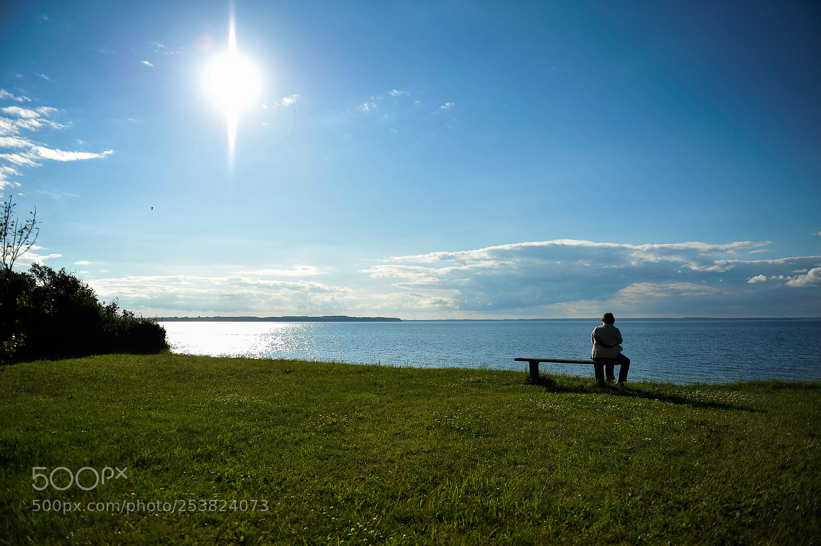 Nikon D700 sample photo. A bench with a photography
