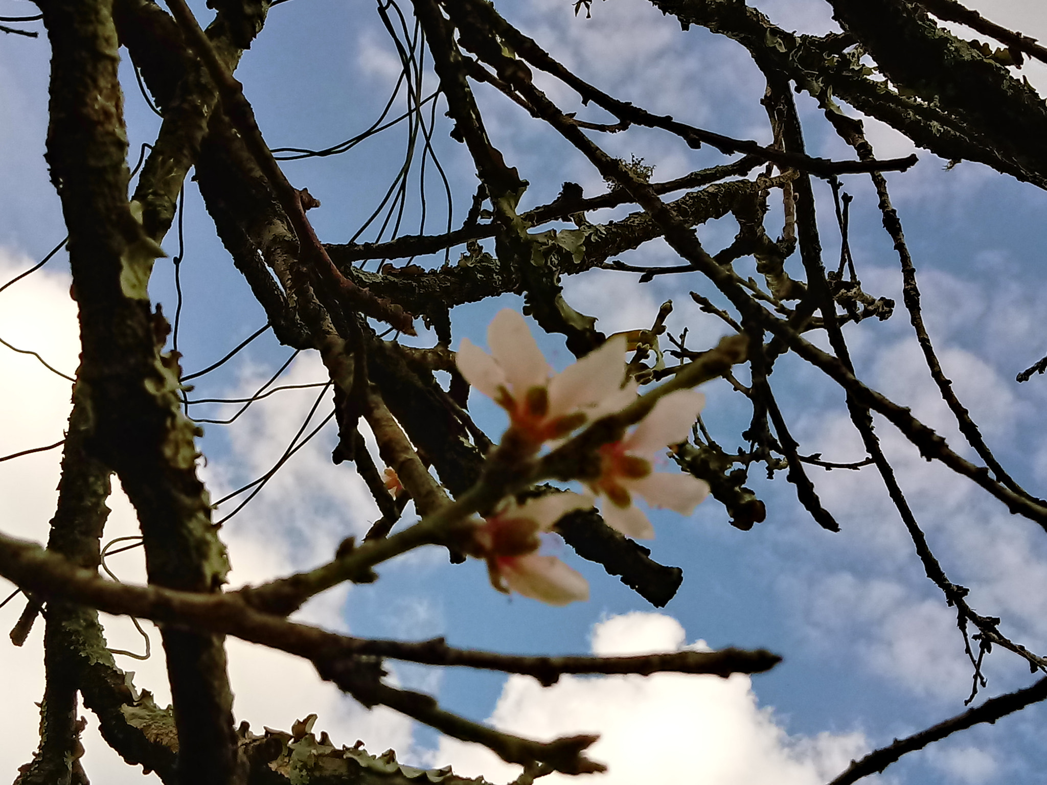 LG K10 (2017) sample photo