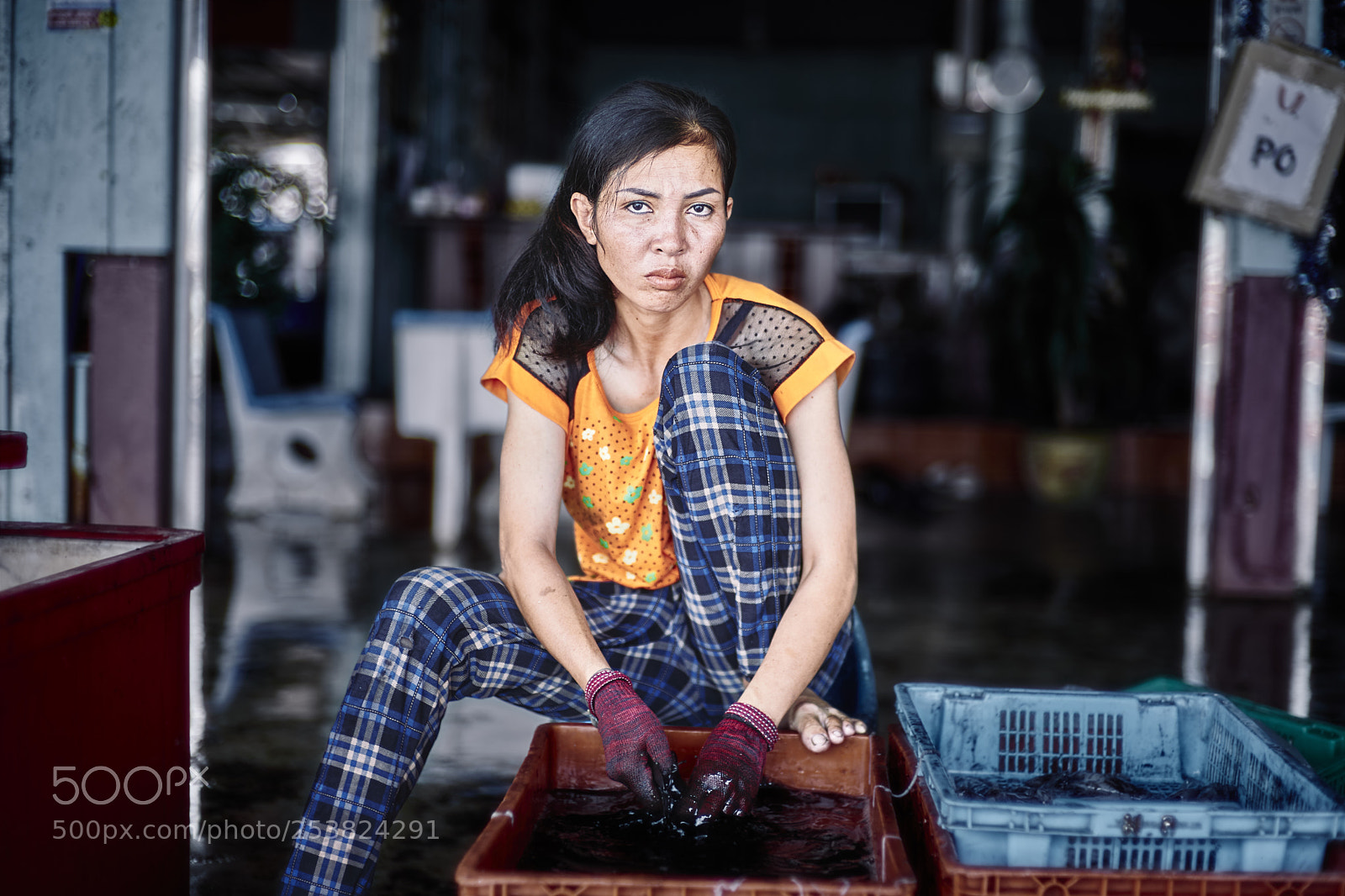 Sony a7 III sample photo. Artisan fisherwoman preparing squids photography