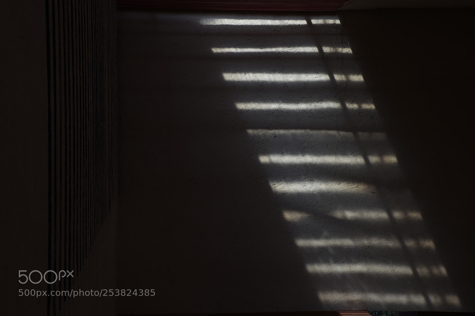 Nikon D7200 sample photo. Dba photography