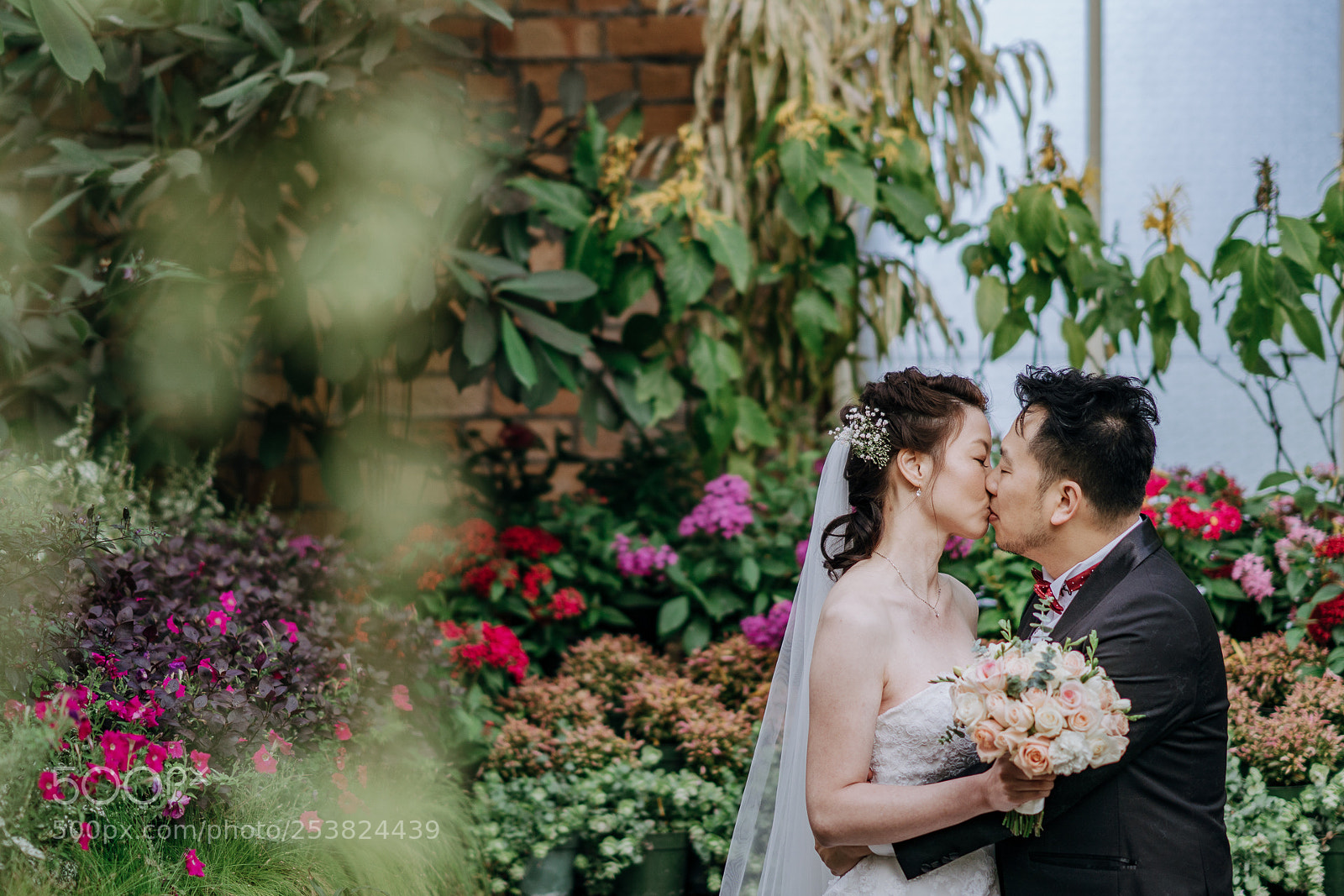 Sony a6500 sample photo. Percy & ricky photography