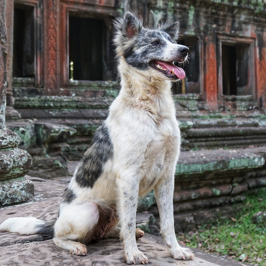 Sony a6000 sample photo. 4/13/2018 photography