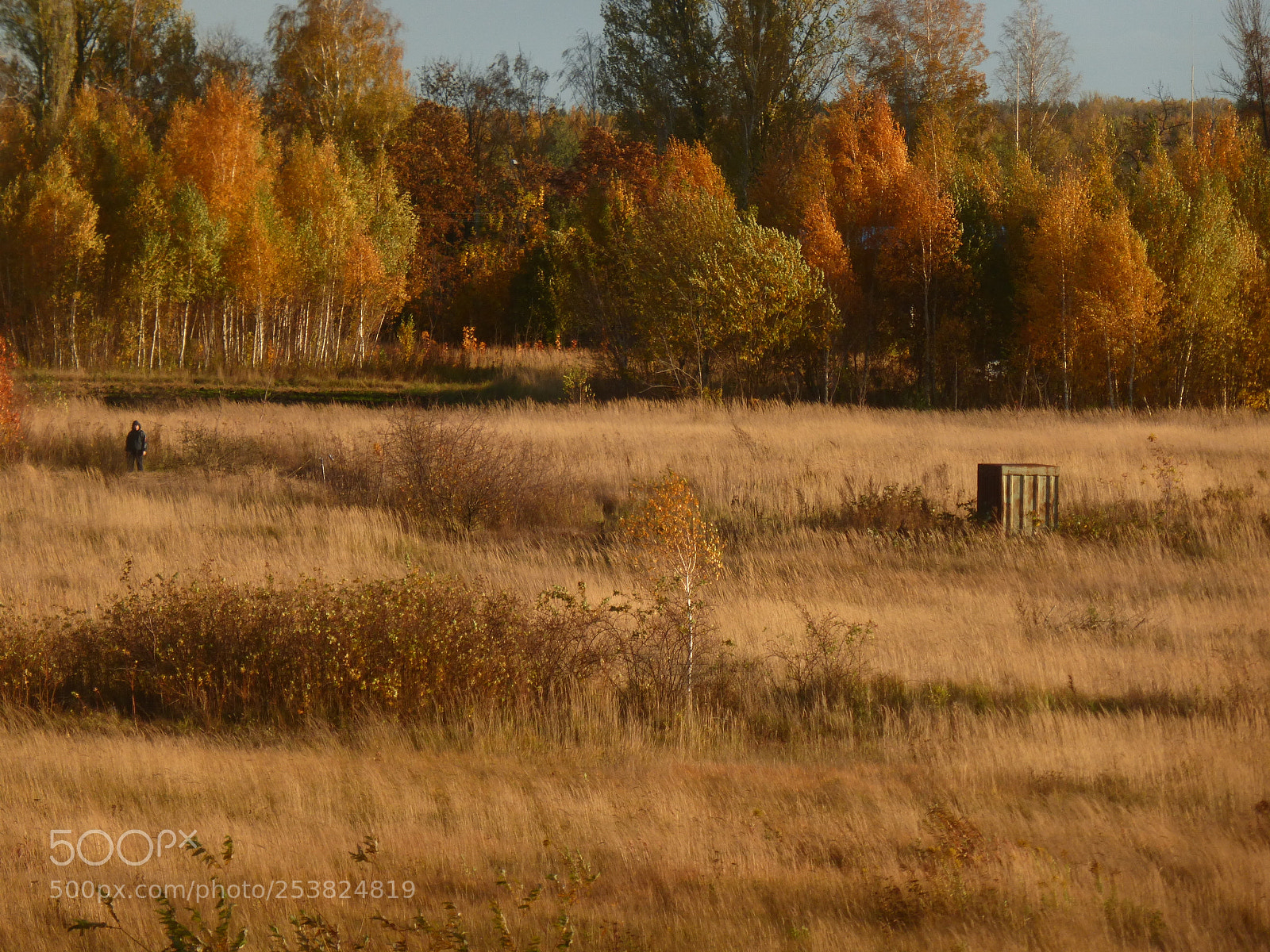Panasonic Lumix DMC-ZS25 (Lumix DMC-TZ35) sample photo. Abandoned container photography