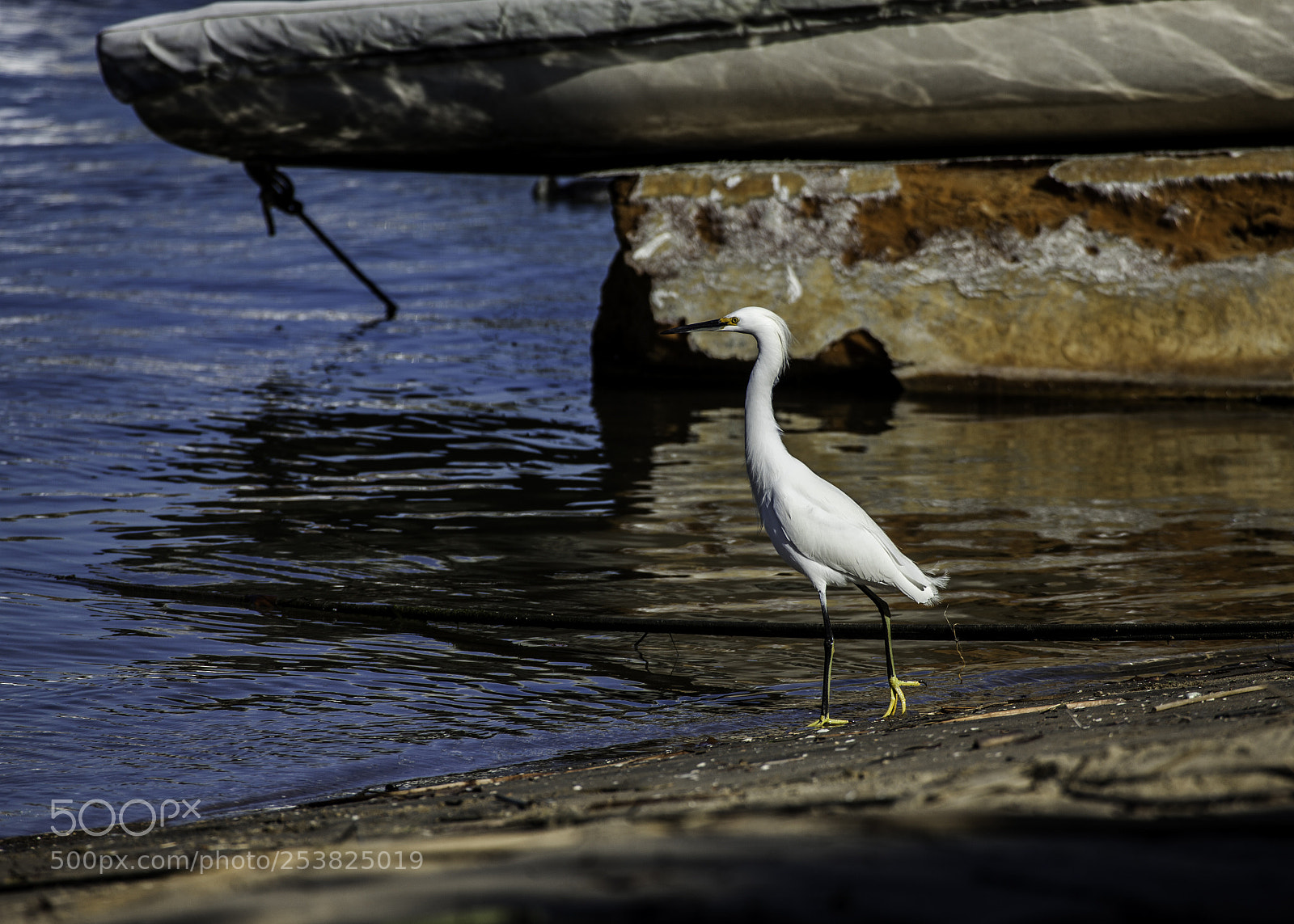 Canon EOS 5D Mark II sample photo. Mg photography