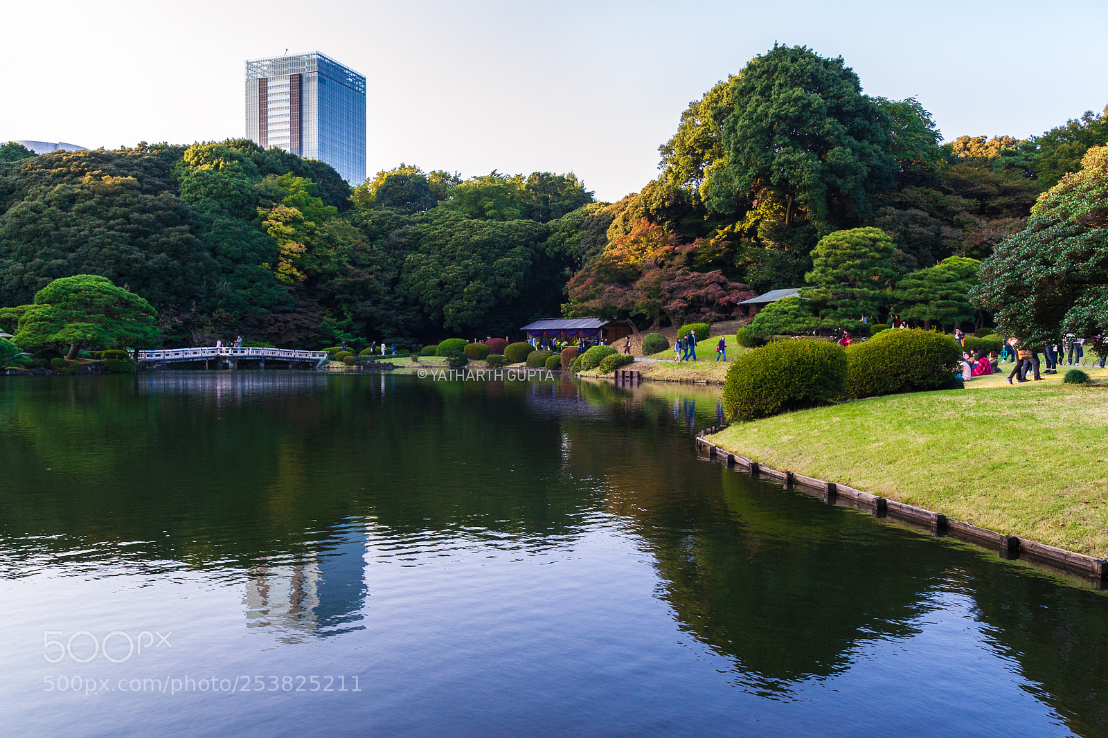 Nikon D3100 sample photo. Tokyo photography