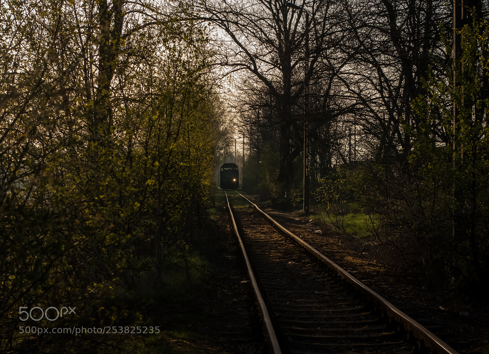 Pentax K10D sample photo. Train photography