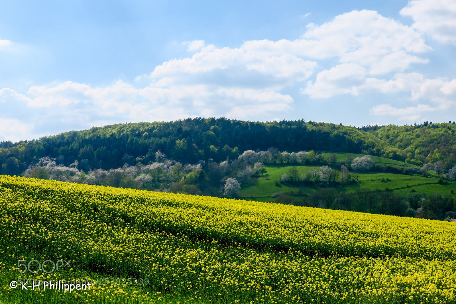Canon PowerShot G3 X sample photo. Nordhessen germany , spring photography