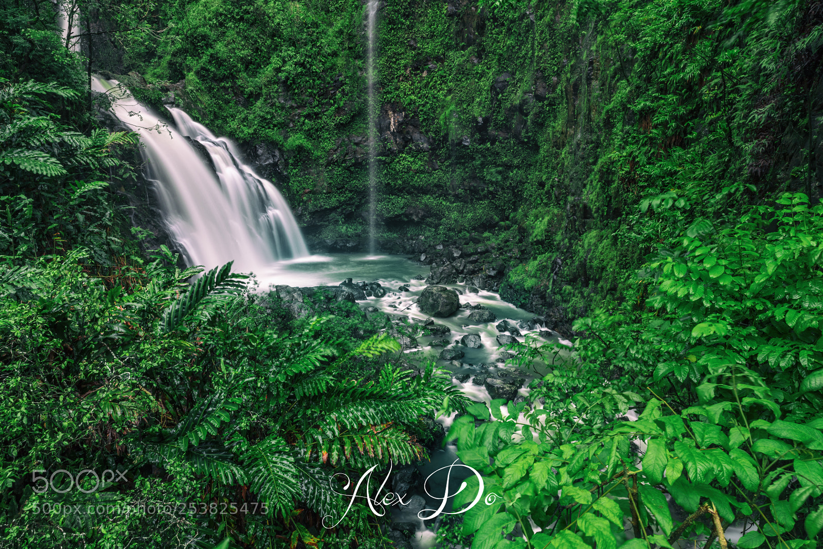 Canon EOS 5D Mark IV sample photo. Edit edit photography