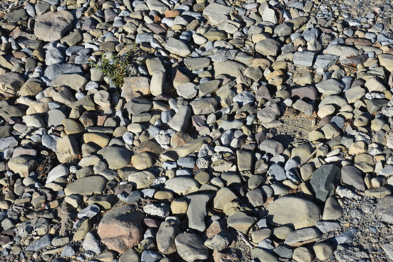 Nikon D7200 sample photo. Dba photography