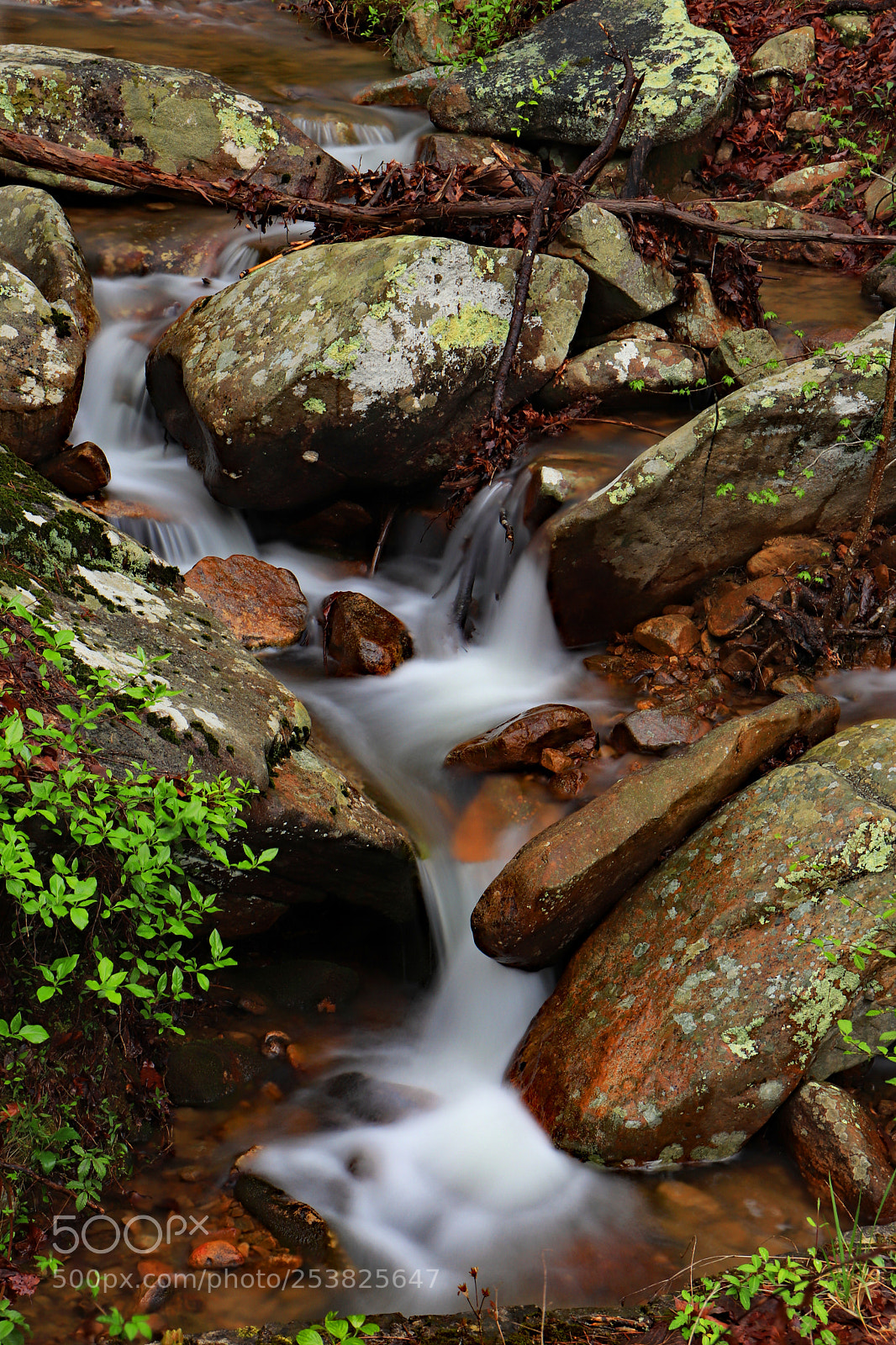 Canon EOS 200D (EOS Rebel SL2 / EOS Kiss X9) sample photo. Springtime cascades photography