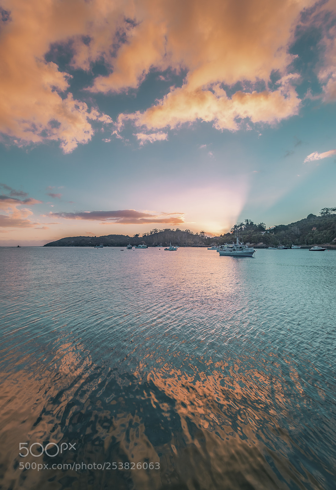 Canon EOS-1D X Mark II sample photo. The stunning morning photography