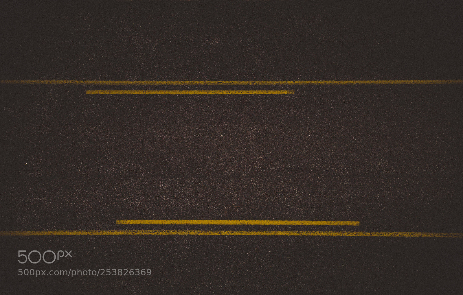 Nikon D500 sample photo. Black and yellow photography