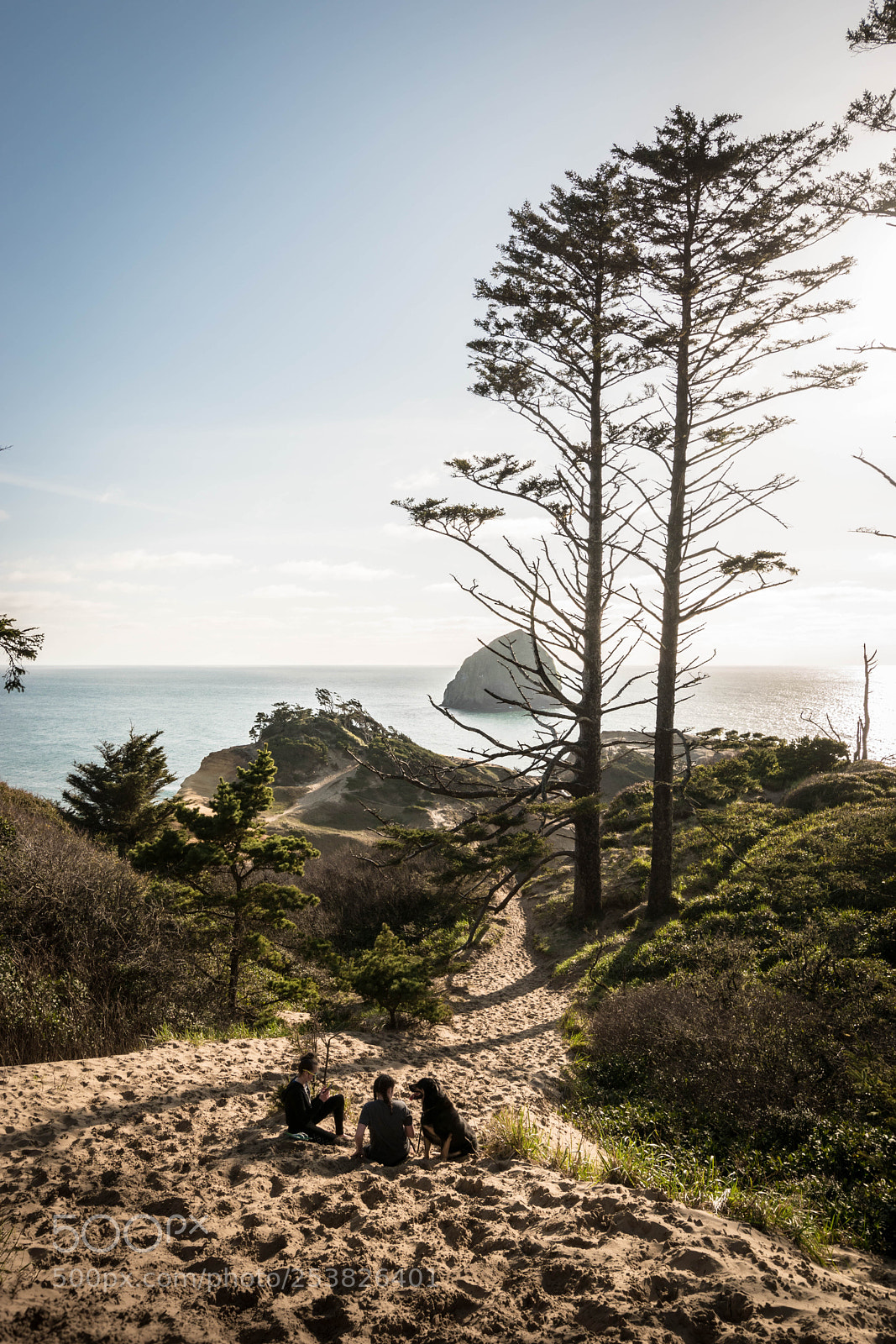Nikon D5500 sample photo. Cape kiwanda photography