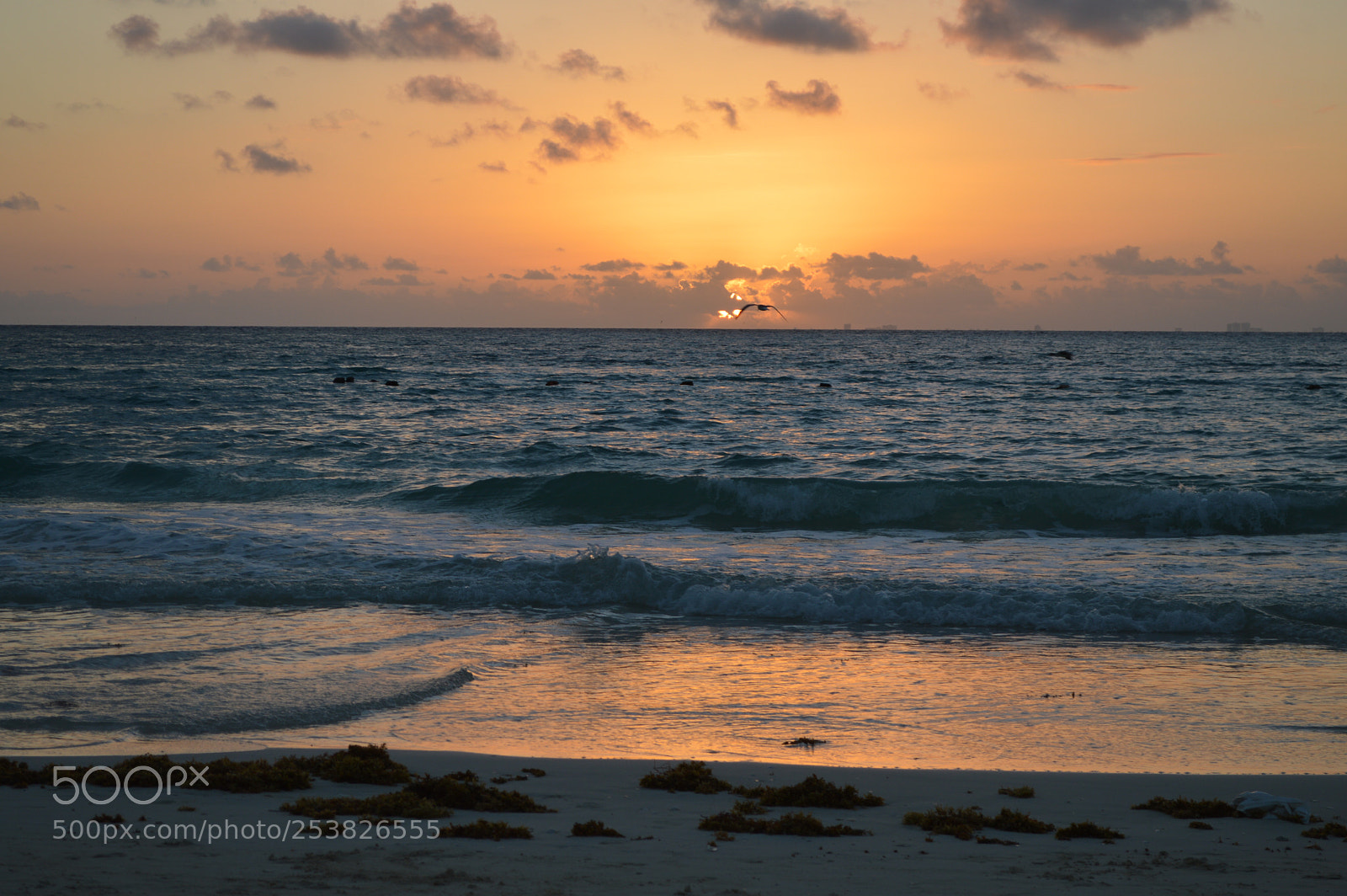 Nikon D3200 sample photo. Almost sunrise photography