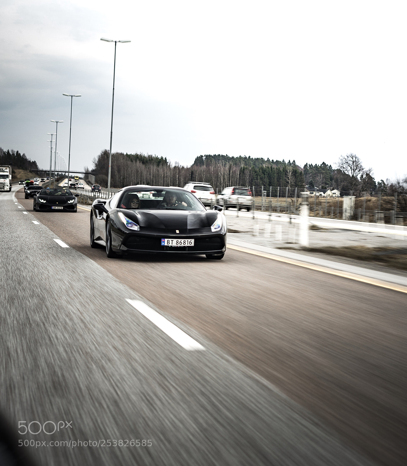 Sony a7 sample photo. Bulls & horses photography