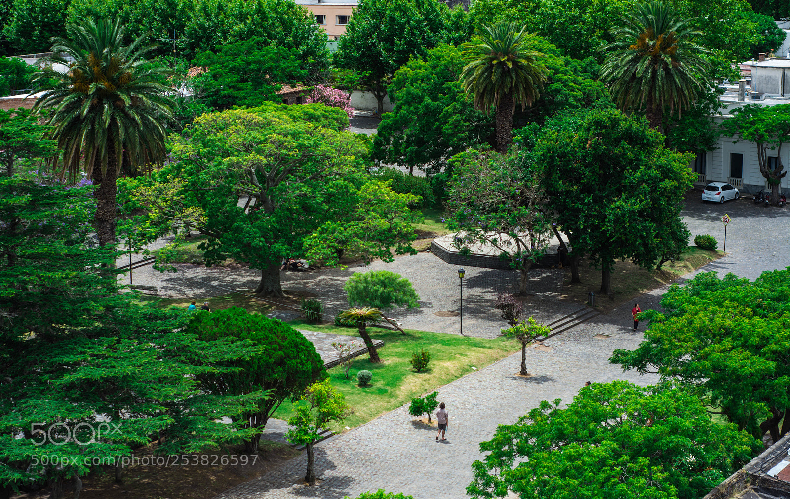 Nikon D7100 sample photo. Park in colonia del photography