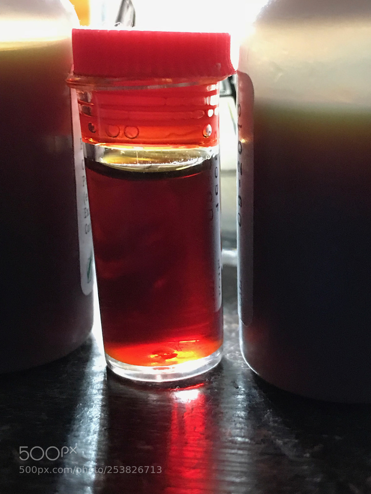 Apple iPhone 7 Plus sample photo. Red potion photography