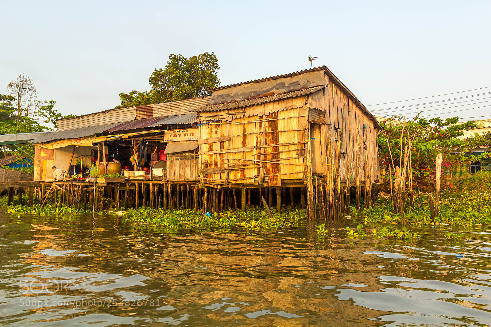 Canon EOS 550D (EOS Rebel T2i / EOS Kiss X4) sample photo. House on stilts photography