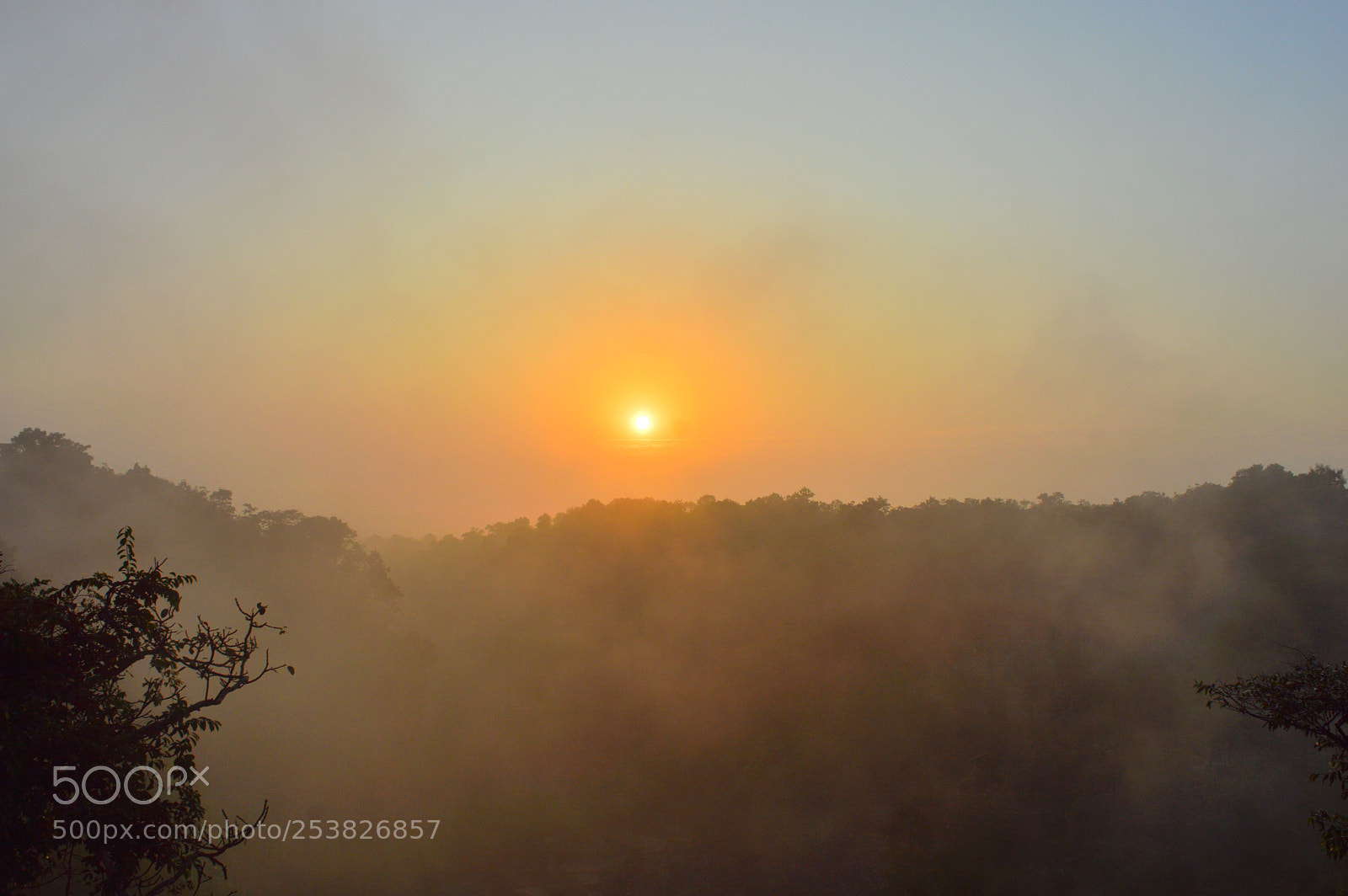Nikon D3200 sample photo. Untitled photography