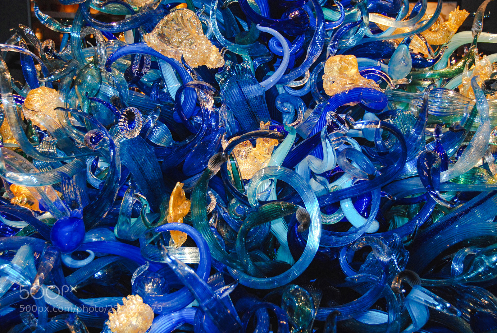 Nikon D80 sample photo. Chihuly art glass no.1 photography