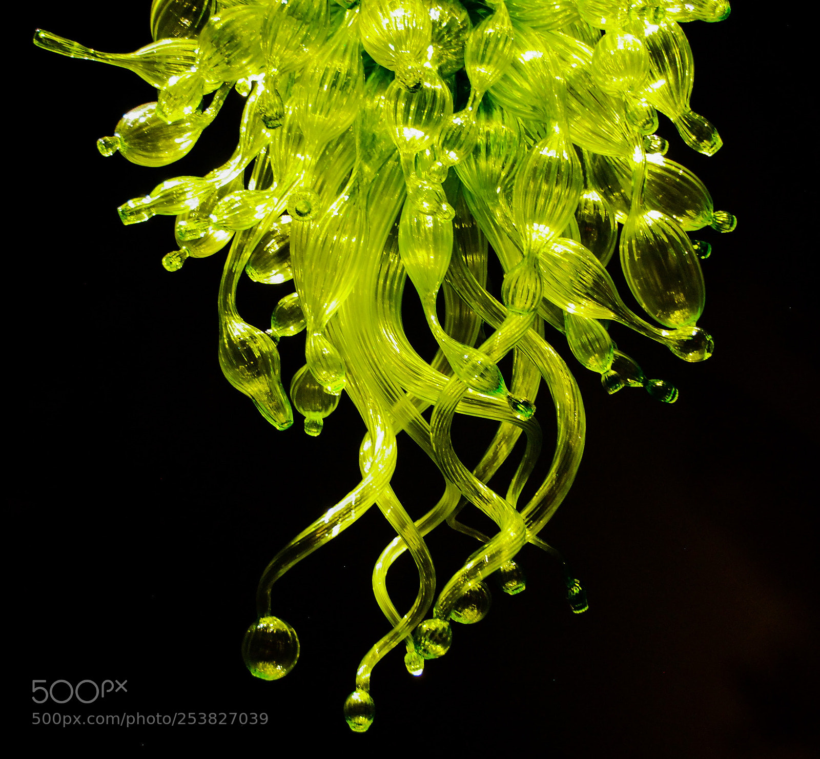 Nikon D80 sample photo. Chihuly chandelier no.1 photography