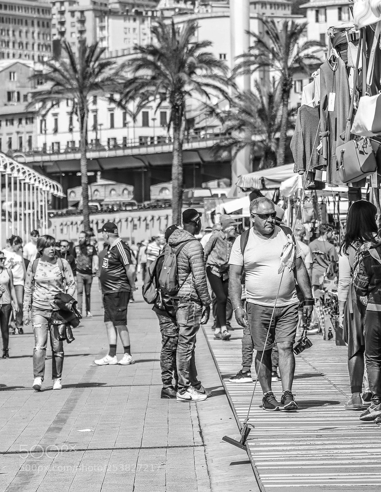 Canon EOS 80D sample photo. Untitled photography