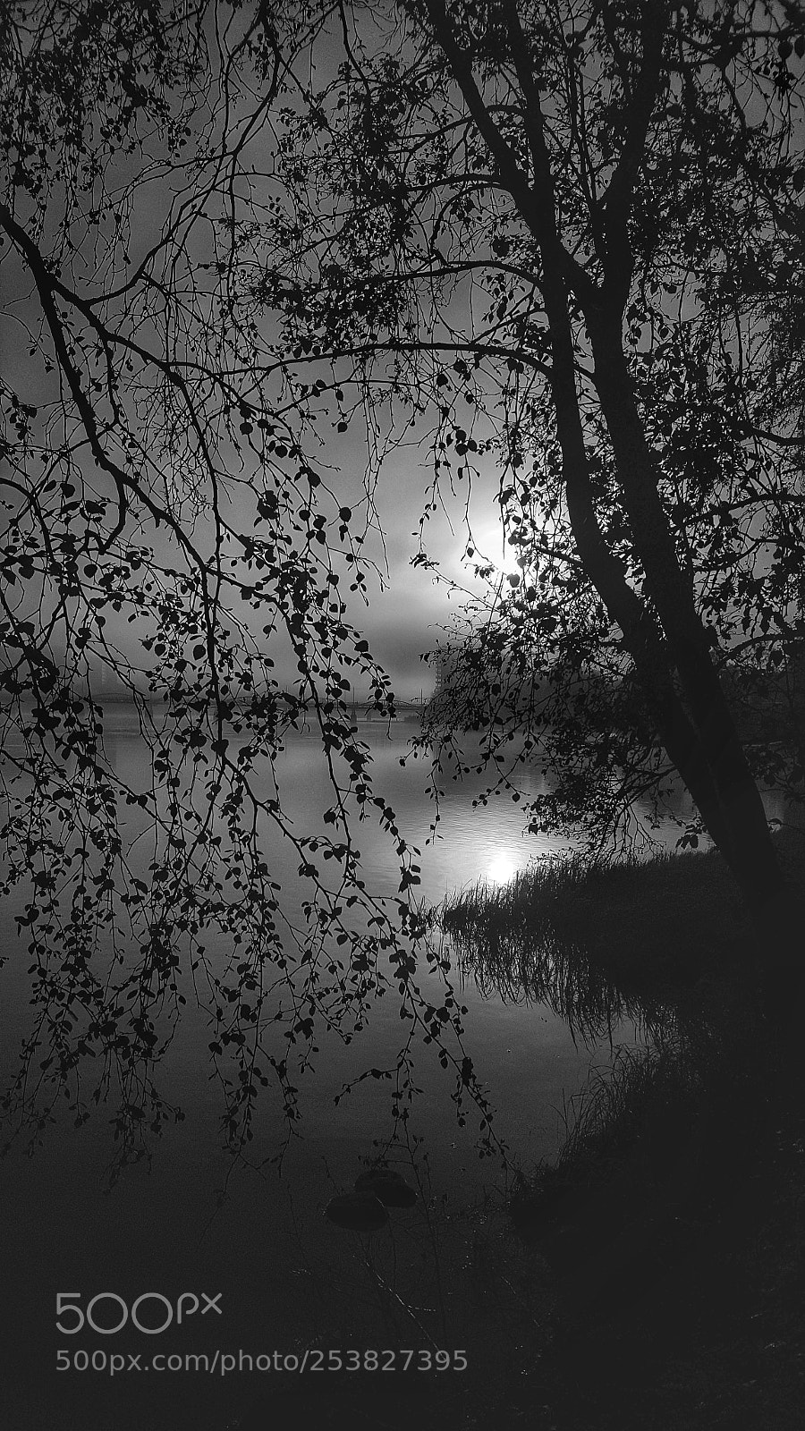 Samsung Galaxy S6 sample photo. Bw photography