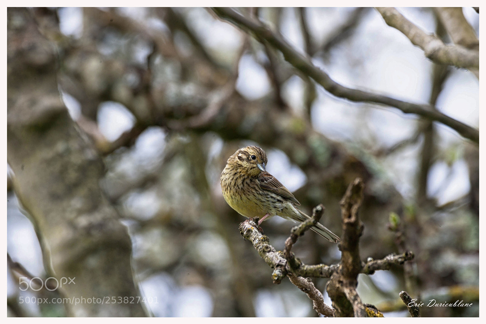 Canon EOS-1D Mark II sample photo. Untitled photography