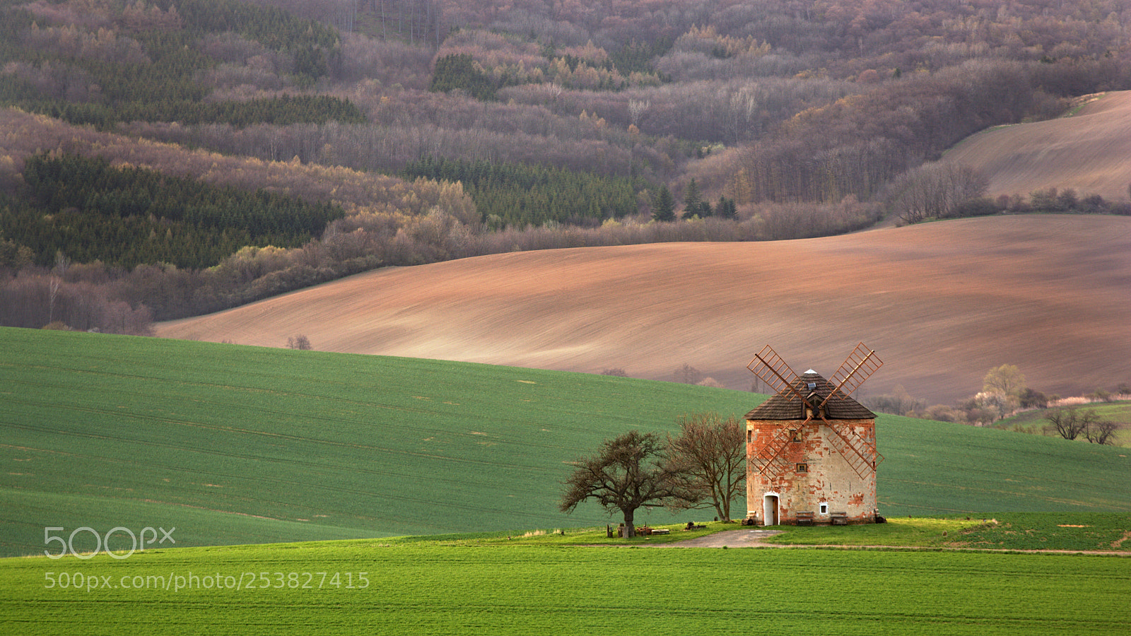 Nikon D7100 sample photo. Kunkovice-south moravia photography
