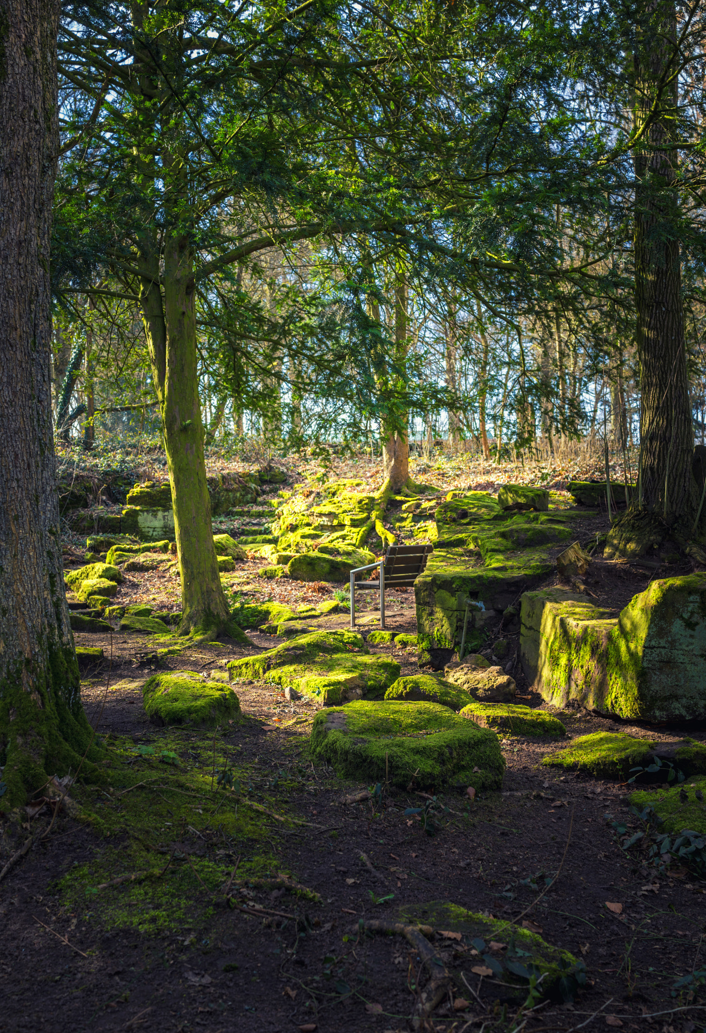 Sony Cyber-shot DSC-RX1 sample photo. Beautiful nature and park scene in spring photography
