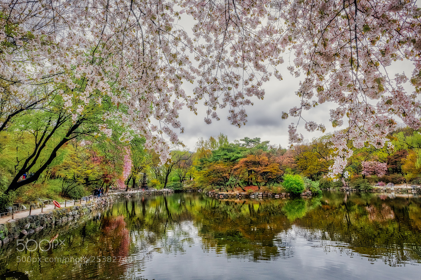 Nikon D850 sample photo. Royal pond photography