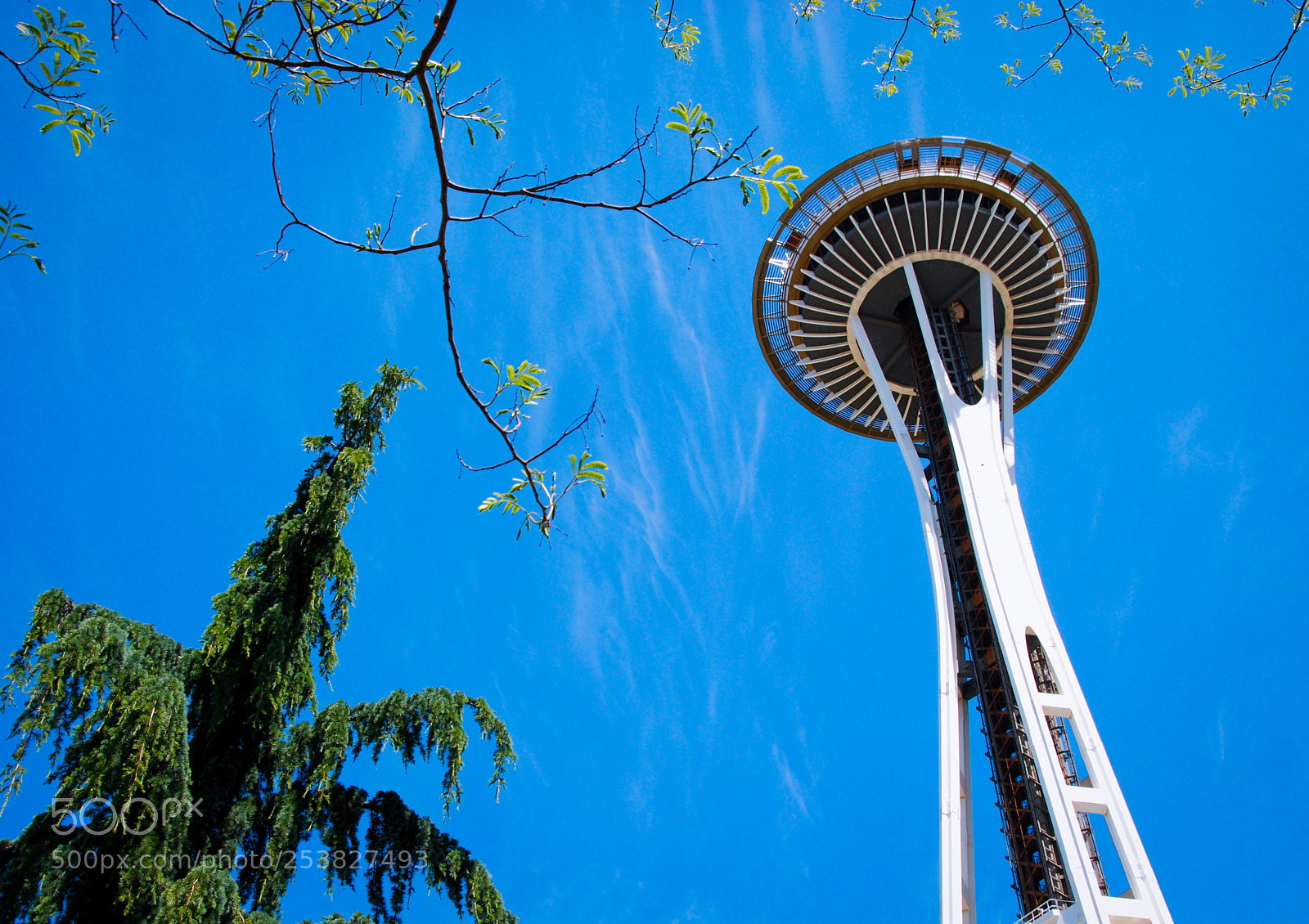 Nikon D80 sample photo. Space needle sv photography