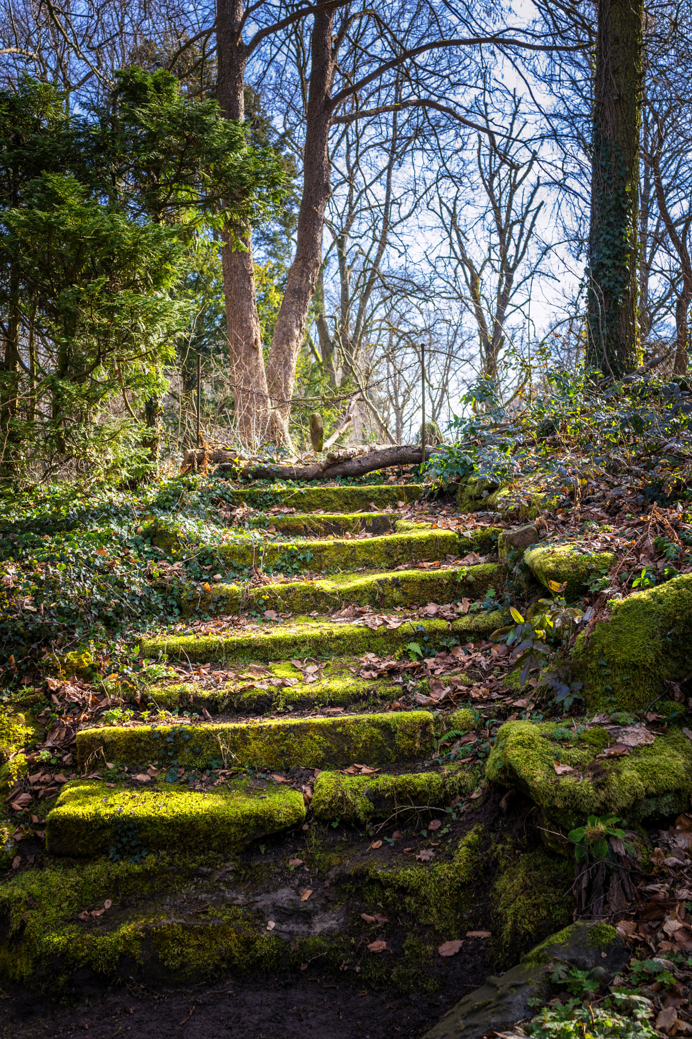 Sony Cyber-shot DSC-RX1 sample photo. Beautiful nature and park scene in spring photography