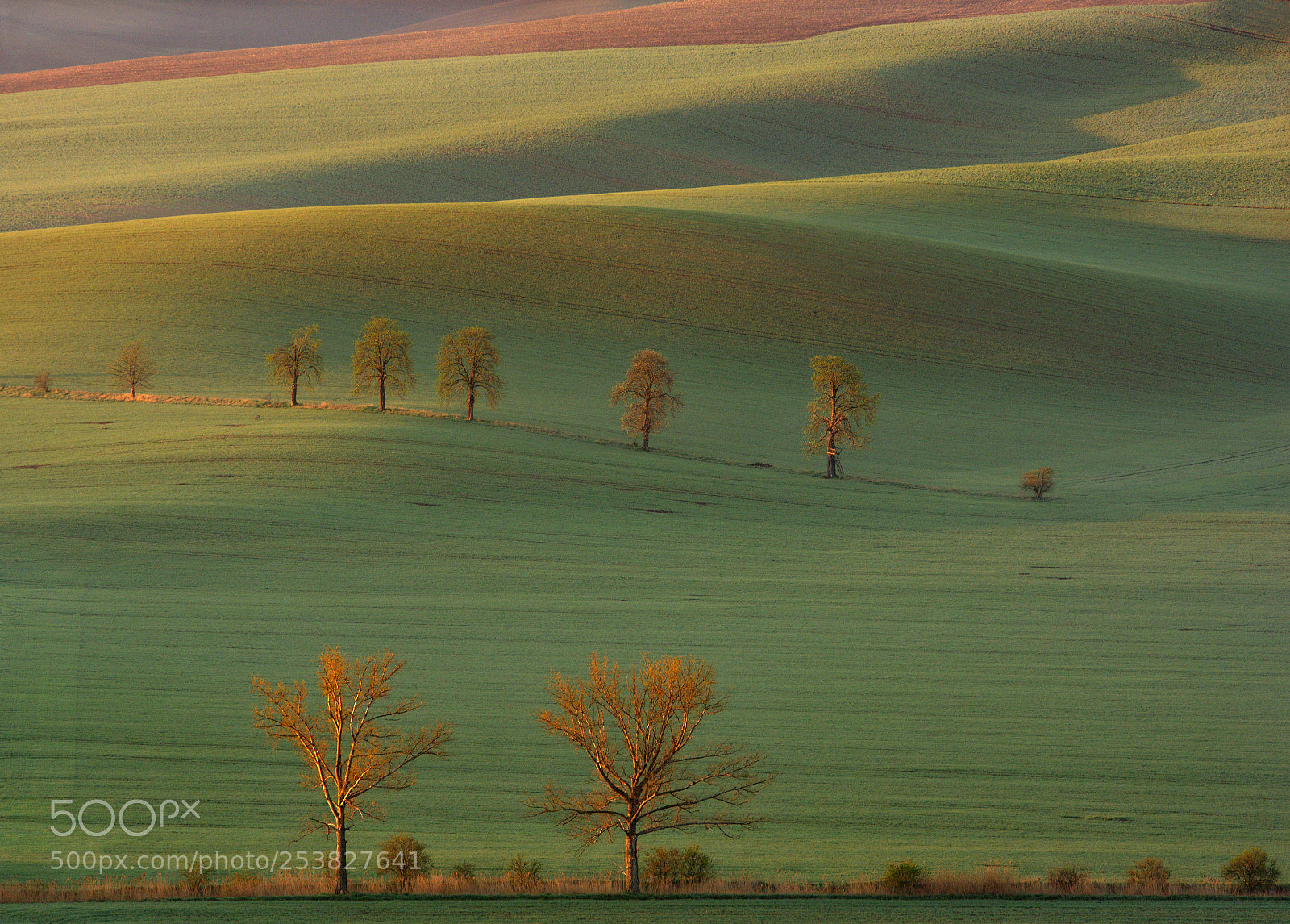 Nikon D7100 sample photo. Karlín-south moravia photography