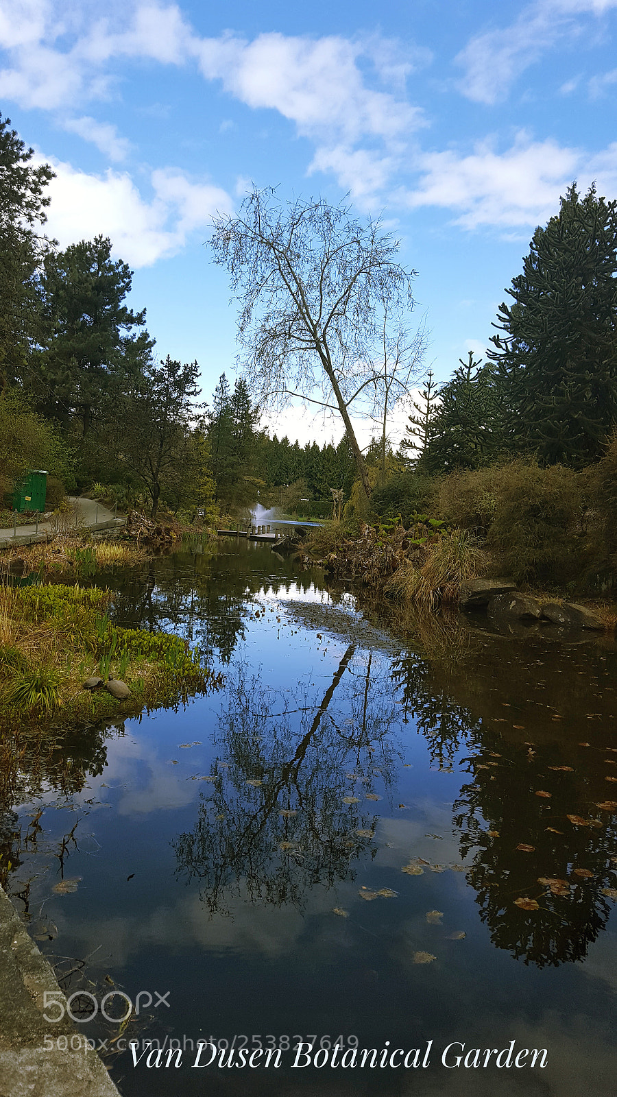 Samsung Galaxy S6 sample photo. 温哥华植物园 photography