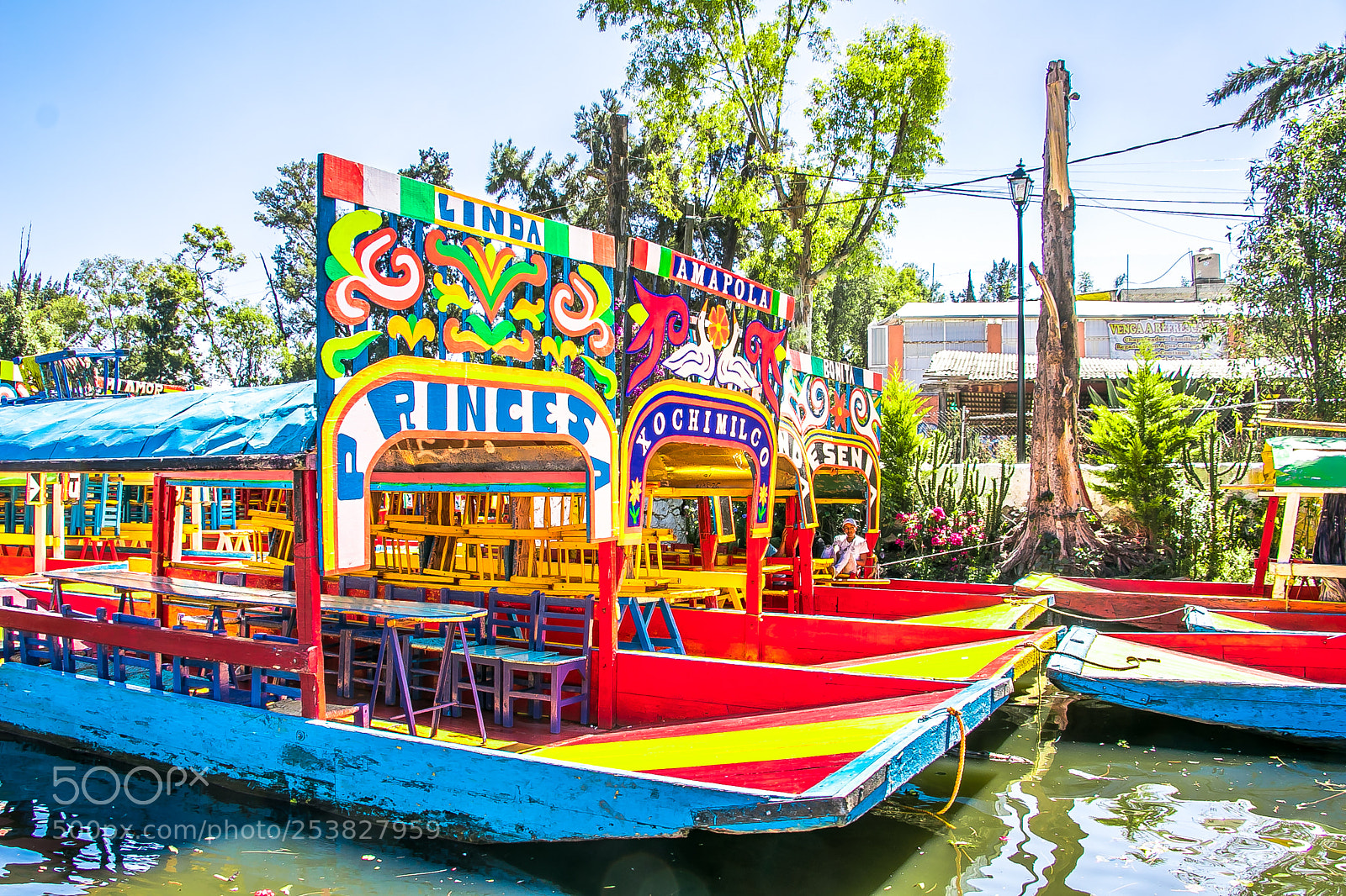 Canon EOS 80D sample photo. Xochimilco photography