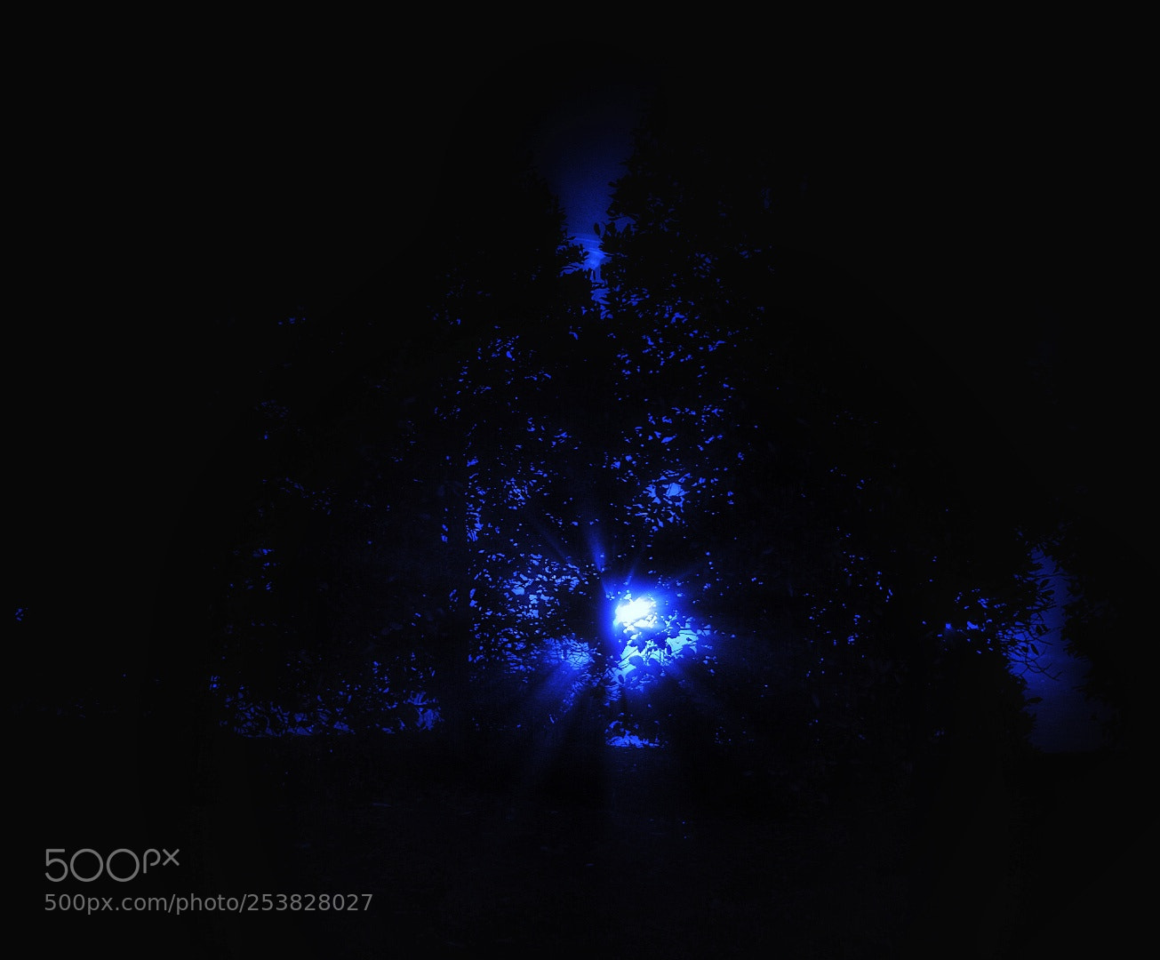 Nikon D3400 sample photo. Blast blue photography