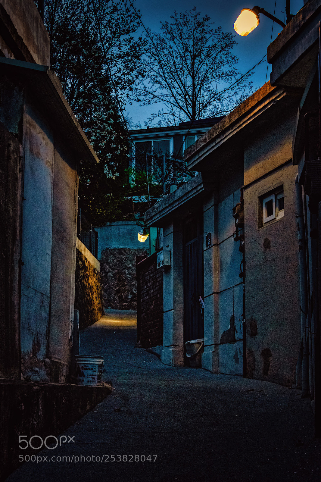 Nikon D850 sample photo. Korean alley at dusk photography