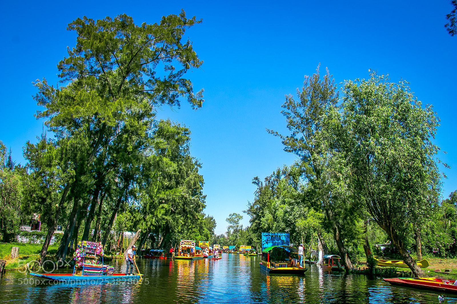Canon EOS 80D sample photo. Xochimilco photography