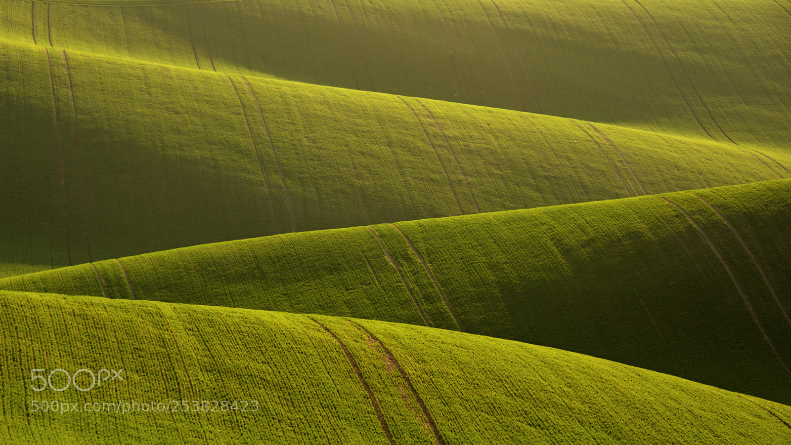 Nikon D7100 sample photo. Karlín2-south moravia photography
