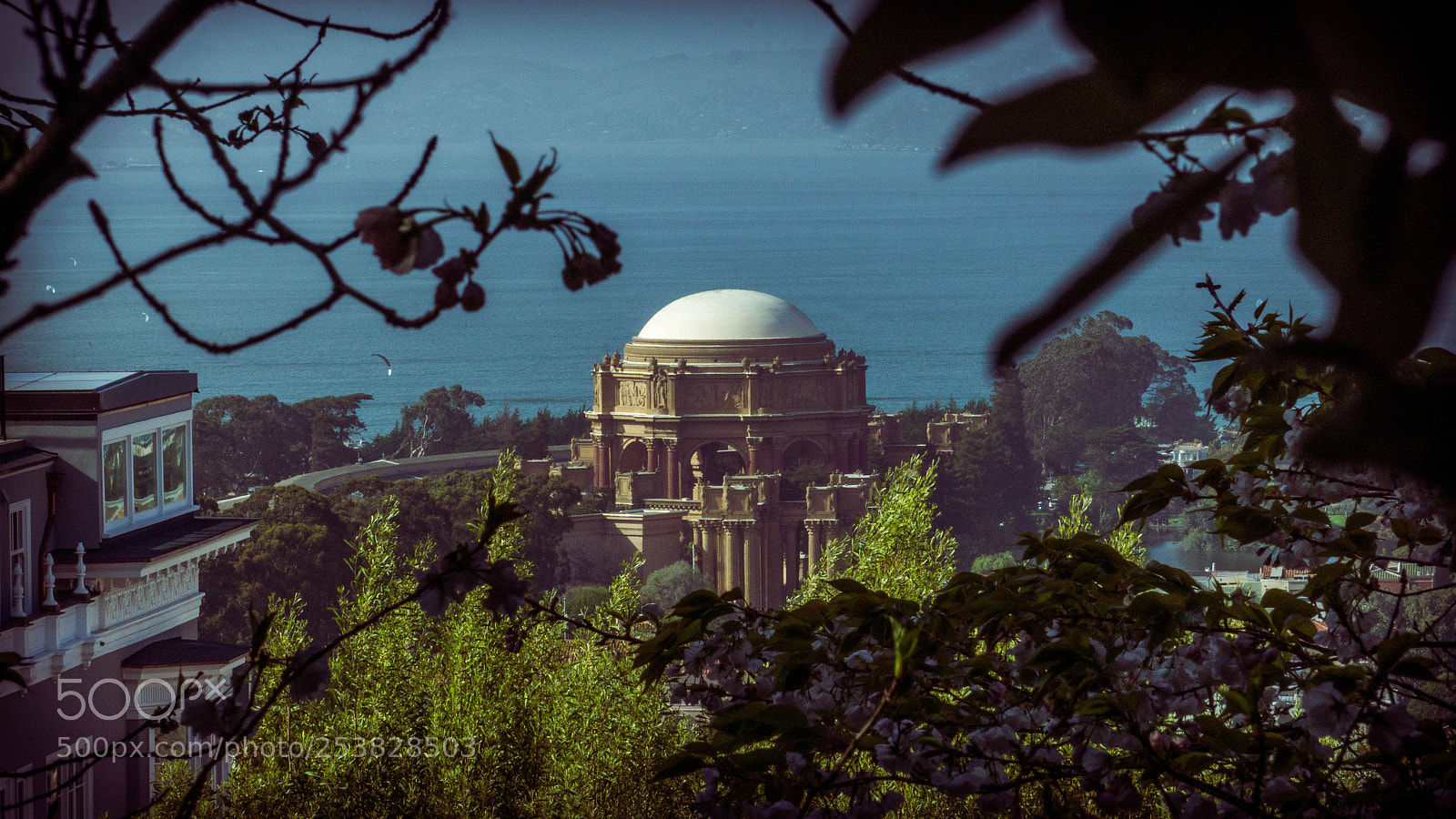 Sony a6000 sample photo. Palace of fine arts photography