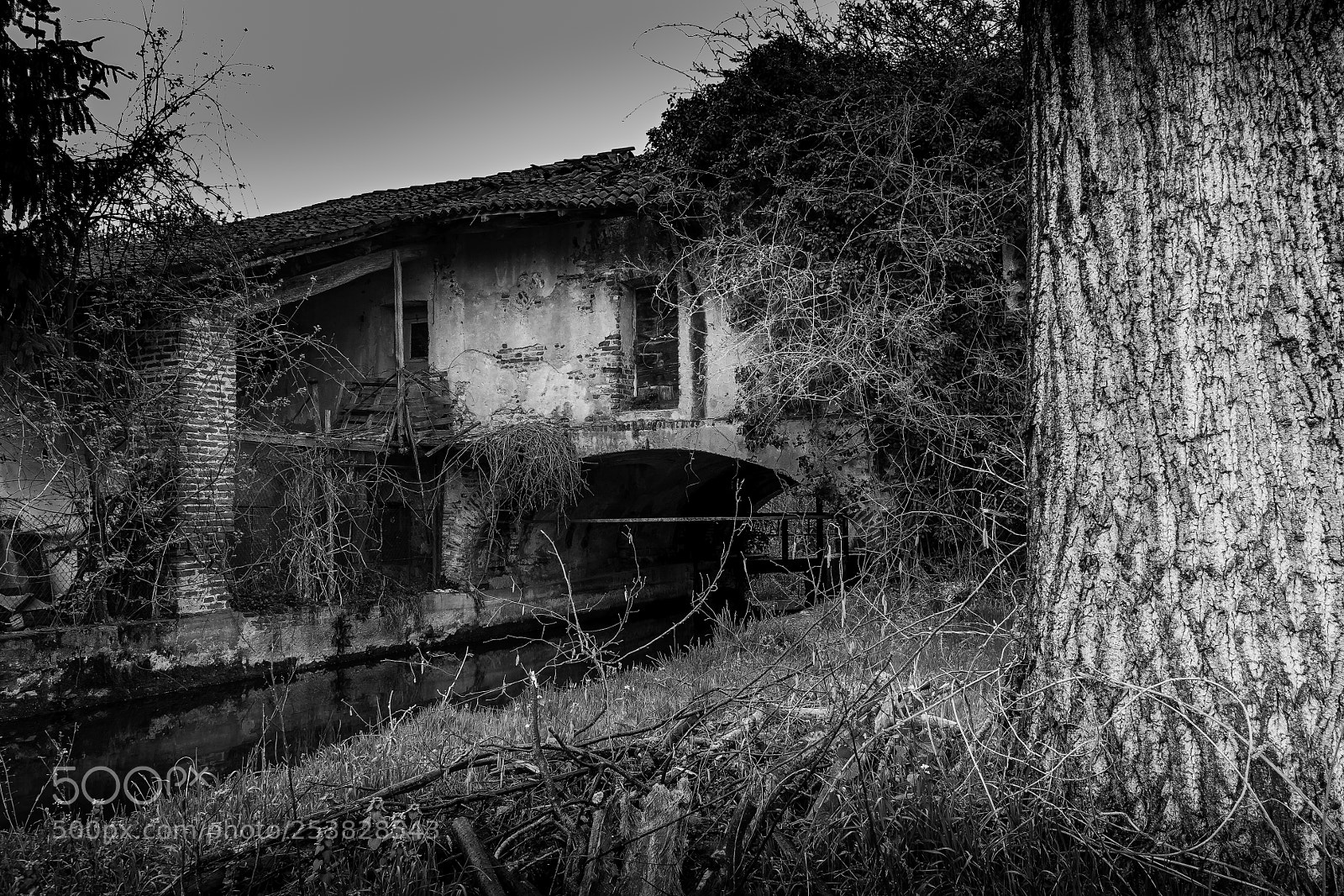 Canon EOS 40D sample photo. Abandoned farmhouse photography