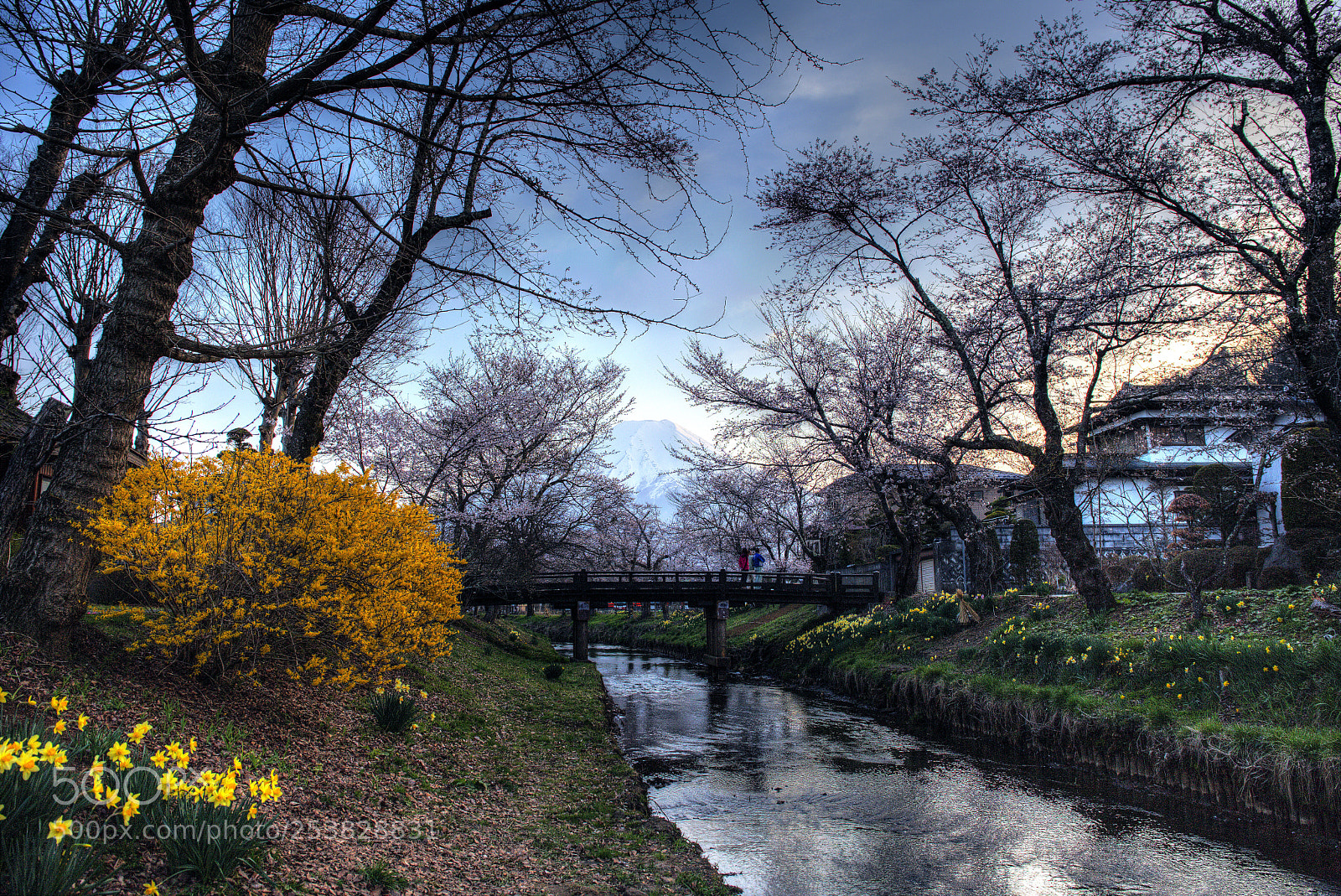 Canon EF 24-70mm F4L IS USM sample photo. 忍野八海一 photography