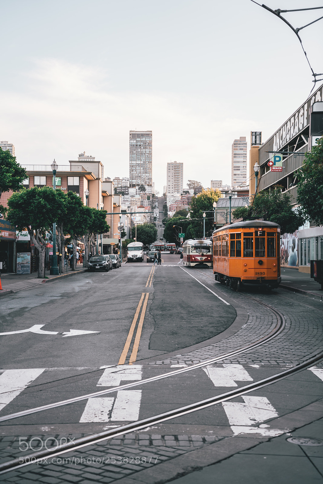Sony a7R II sample photo. Road to the peak photography