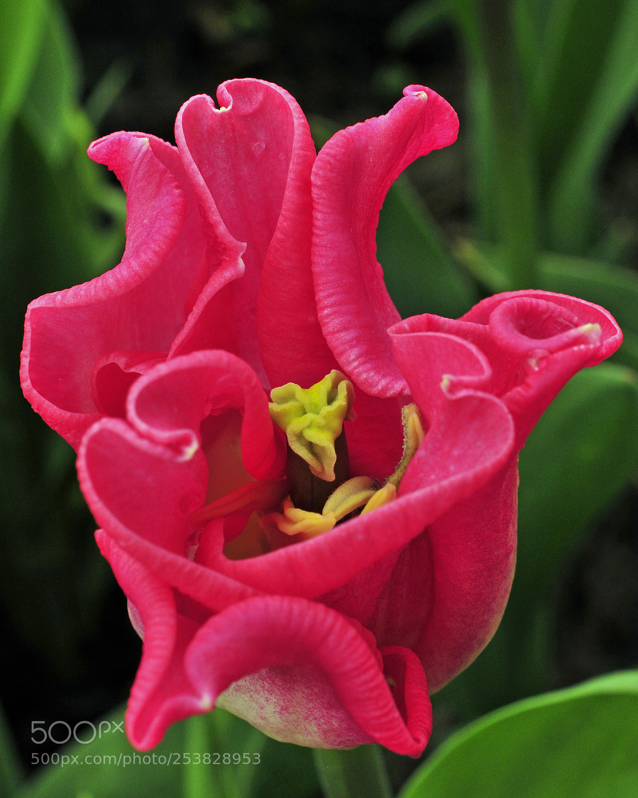 Nikon D300 sample photo. Untitled photography