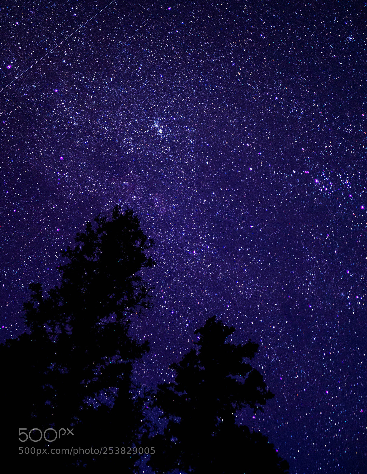 Olympus OM-D E-M10 sample photo. The stars of new photography