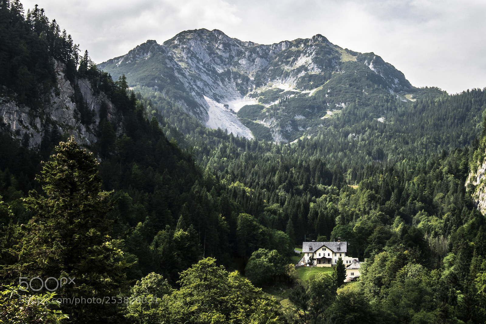 Nikon D500 sample photo. A lonely house around photography